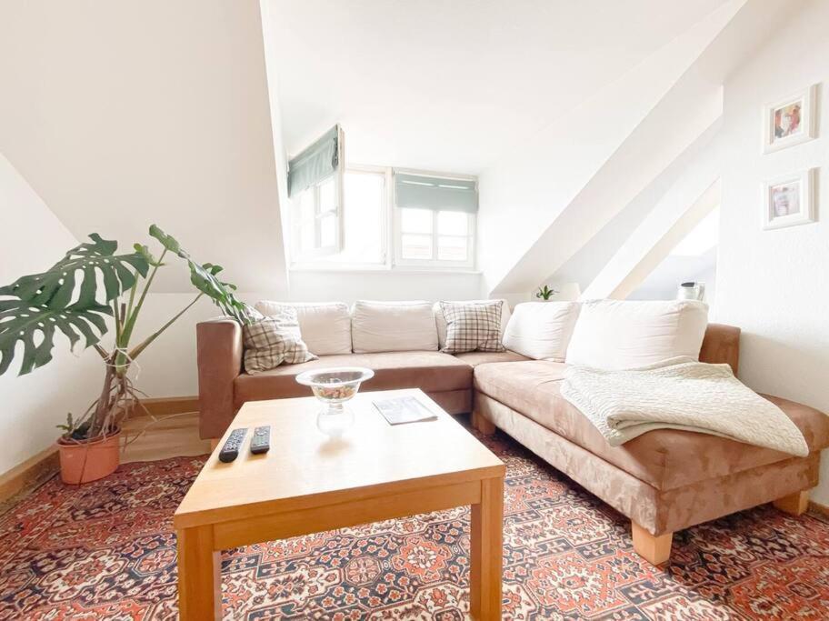 Apartment Schoene Mit Blick Ueber Stadtwald Leipzig